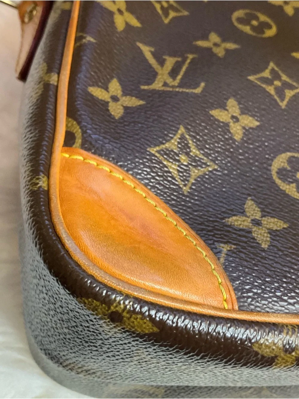 Louis Vuitton Monogram Amazon Shoulder Bag - Picture 12 of 16